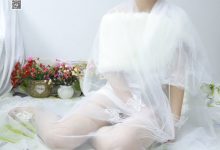 全民丝影 - 芙蓉不及美人妆 [85P-163MB]-亿套图