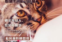 [108酱TV]日系系列 2016.09.01 妮小妖-女仆黑丝诱惑 [1V]-亿套图