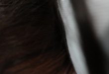 [ROSI写真]2021.01.11 NO.3325[41+1P45M]-亿套图