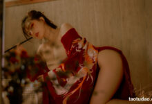 樱晚gigi - NO.15 惊鸿 [23P-244MB]-亿套图