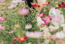 [YITUYU艺图语]2021.09.03 繁花孤影 茶茶[23+1P／280MB]-亿套图