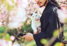 [YITUYU艺图语]2021.09.04 猫侍 邱风[30+1P／311MB]-亿套图