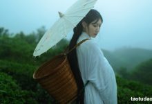 [YITUYU艺图语]2021.12.24 空山灵雨 初茶[26+1P／433MB]-亿套图