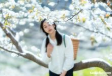 [YITUYU艺图语]2021.12.27 故乡的小燕子 欢欢[35+1P／588MB]-亿套图