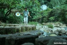 [YITUYU艺图语]2022.01.08 处暑 初茶[34+1P／934MB]-亿套图