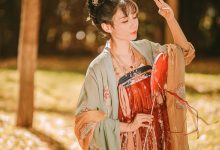 [YITUYU艺图语]2022.01.24 秋风辞 大橘猫[31+1P／128MB]-亿套图