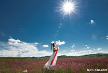 [YITUYU艺图语]2022.02.20 在水一方 晶晶[19+1P／247MB]-亿套图
