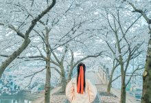 [YITUYU艺图语]2022.02.24 等一场春暖 待一树花开 阿紫[19+1P／235MB]-亿套图
