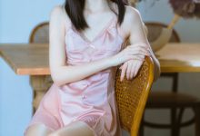 许岚 NO.009 — 半透粉纱[40P-836MB]-亿套图