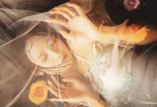 兔子Zzz不吃胡萝卜 - NO.46 梦莲 [30P-377MB]-亿套图