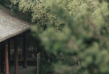 [YITUYU艺图语]2022.07.12 入江南 辛冉[32+1P／356MB]-亿套图