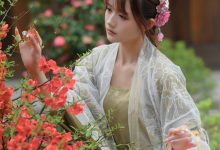 兔子Zzz不吃胡萝卜 - NO.73 宫墙柳 [43P-445MB]-亿套图