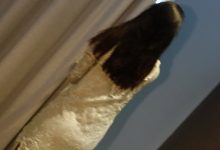 [ROSI写真]2023.06.11 NO.4206[224+1P／282MB]-亿套图