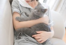[轻兰映画]SPL.014[110P／875MB]-亿套图