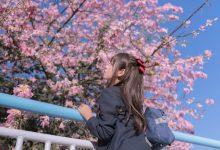 萌芽儿 - NO.26 异木棉花 [27P-436MB]-亿套图