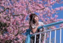 萌芽儿 -  异木棉花 [27P-436MB]-亿套图