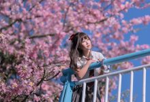 [YITUYU艺图语]2023.02.19 异木棉花 萌芽儿o0[27+1P／442MB]-亿套图