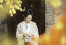 [YITUYU艺图语]2023.02.03 等闲日 陌颜[29+1P／531MB]-亿套图