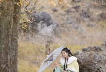 [YITUYU艺图语]2023.02.05 枫 秋哒哒--[24+1P／276MB]-亿套图