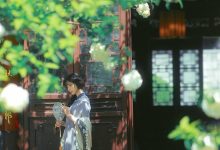 [YITUYU艺图语]2023.03.29 清欢 是你的小豆豆啊[21+1P／480MB]-亿套图