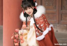 [YITUYU艺图语]2023.03.30 元日 酒酿圆子[24+1P／330MB]-亿套图