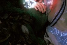 [YITUYU艺图语]2023.03.12 寻梦记·彼时蝶 阿了个戚[22+1P／406MB]-亿套图