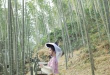 [YITUYU艺图语]2023.04.07 竹乡 沉诗思[20+1P／235MB]-亿套图