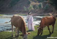 [YITUYU艺图语]2023.04.09 去随青草牧春牛 瑜瑾[24+1P／524MB]-亿套图