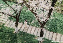 [YITUYU艺图语]2023.04.18 樱花教室 萌伊伊[32+1P／368MB]-亿套图