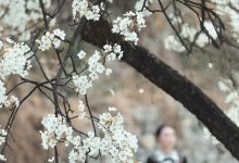 [YITUYU艺图语]2023.05.07 十里春风梨花如雨 薇薇[49+1P／828MB]-亿套图