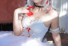 苏嫣嫣阿姨-明日方舟-W芭蕾 [30P-249MB]-亿套图