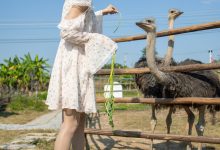 [尤蜜丝]穿搭写真 NO.086[76P／400MB]-亿套图