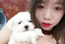 鱼鱼足影 NO.056 - 长沙幼师[26P／59MB]-亿套图