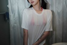 LeeheeExpress LEDG-195B GMS [52P-208MB]-亿套图