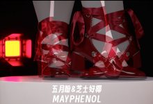 玥儿玥 蕾丝装秘装 拍摄花絮 [84P+1V-2.6G]-亿套图