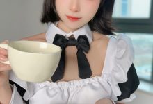 布丁大法 –  女仆奶糖派 [149P+7V-755M]-亿套图