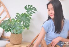[SSA丝社]短片 NO.0164 君君 浪莎肤色丝袜[1V／525MB]-亿套图